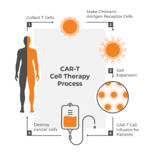 Infographic displaying Nanotein's CAR T Cell Therapy process
