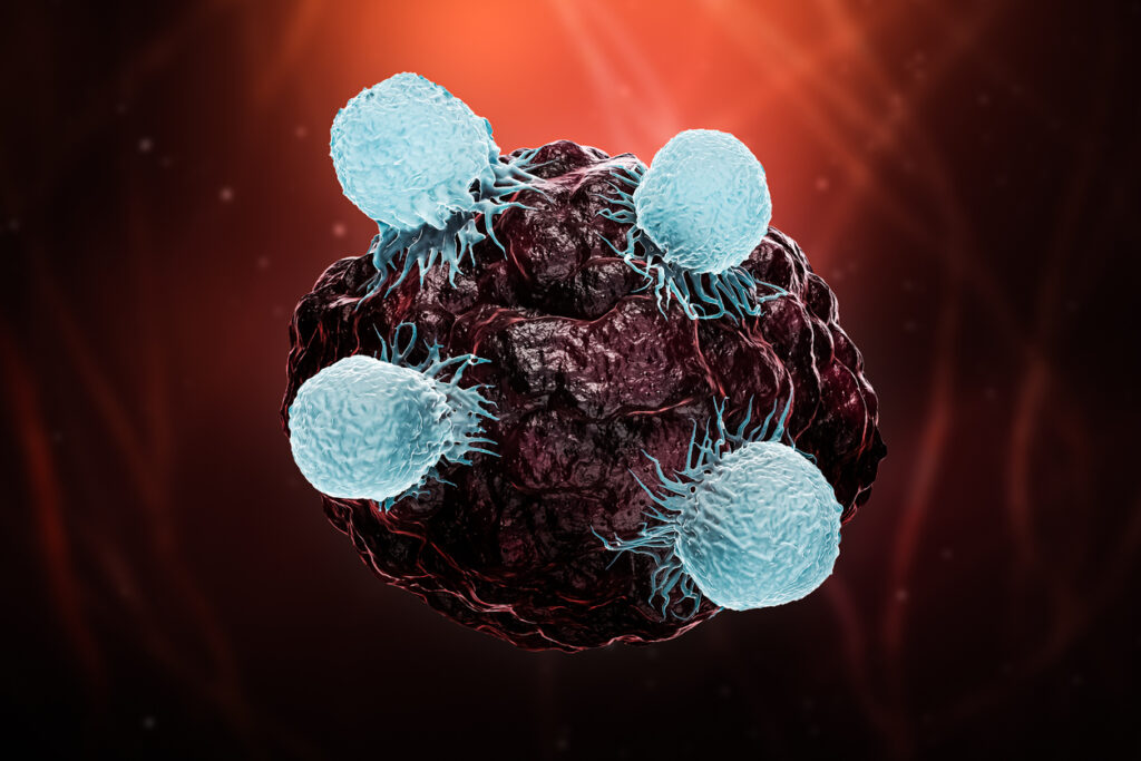 White blood cells or T lymphocytes or natural killer T attack a cancer or tumor or infected cell 3D rendering illustration.