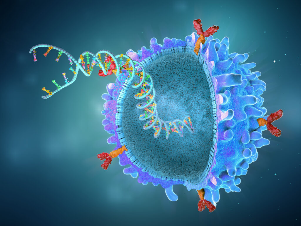 CAR-T Cell Expansion: Ex Vivo CAR-T Expansion for Cell Therapy